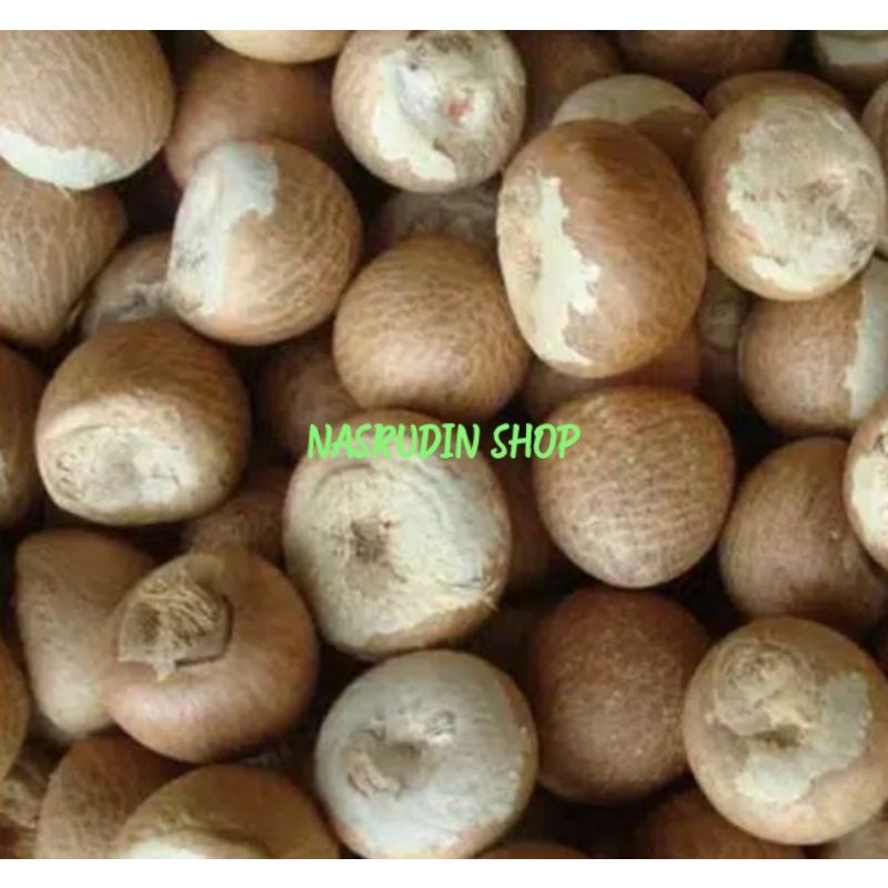 

BIJI BUAH PINANG KUPAS UTUH SIAP OLAH | BIJI PINANG TUA KUPAS BERSIH UTUH
