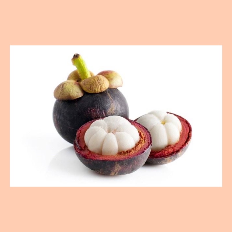 

Buah manggis / manggis fresh