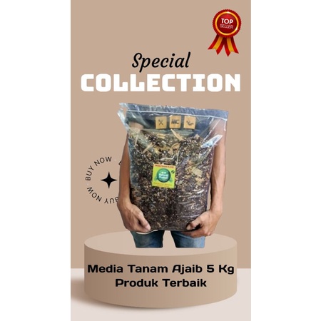 RB Media tanam ajaib 5 kg, metan aglonema, metan varigata, metan premium