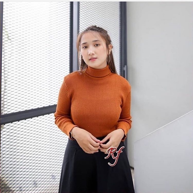 Kaos Turtleneck Pria Wanita Leher Tinggi Rib Premium |Turtleneck Tangan Panjang Rajut wanita Pretty