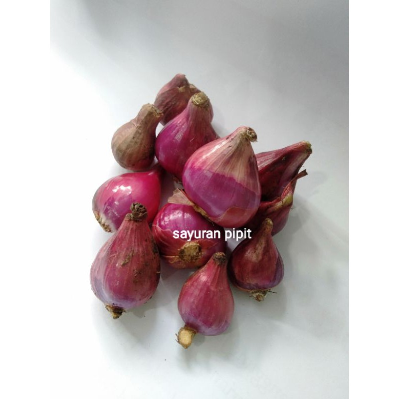 

bawang merah