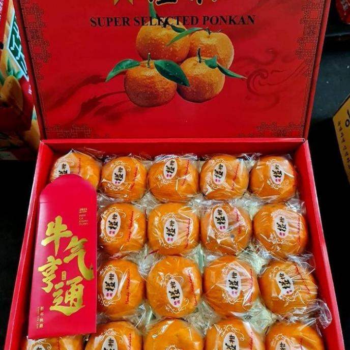 

Hampers Buah Imlek Jeruk Ponkam Honey Premium Gift/1Bok Isi 40 Pcs Raysandi67