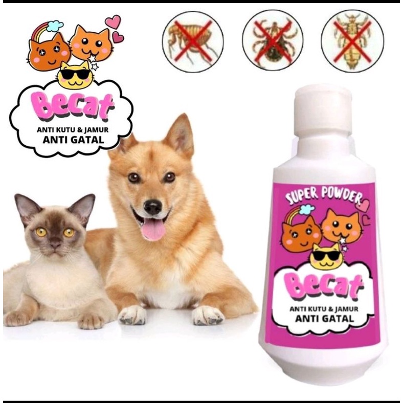 Bedak  Kucing kitten Anti Kutu Jamur Scabies Grooming Kucing Bedak Kutu Kucing FEFARM