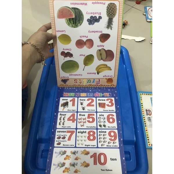 READY buku anak alphabet books number books abc animals shape colors cars buku perkalian penjumlahan animal book