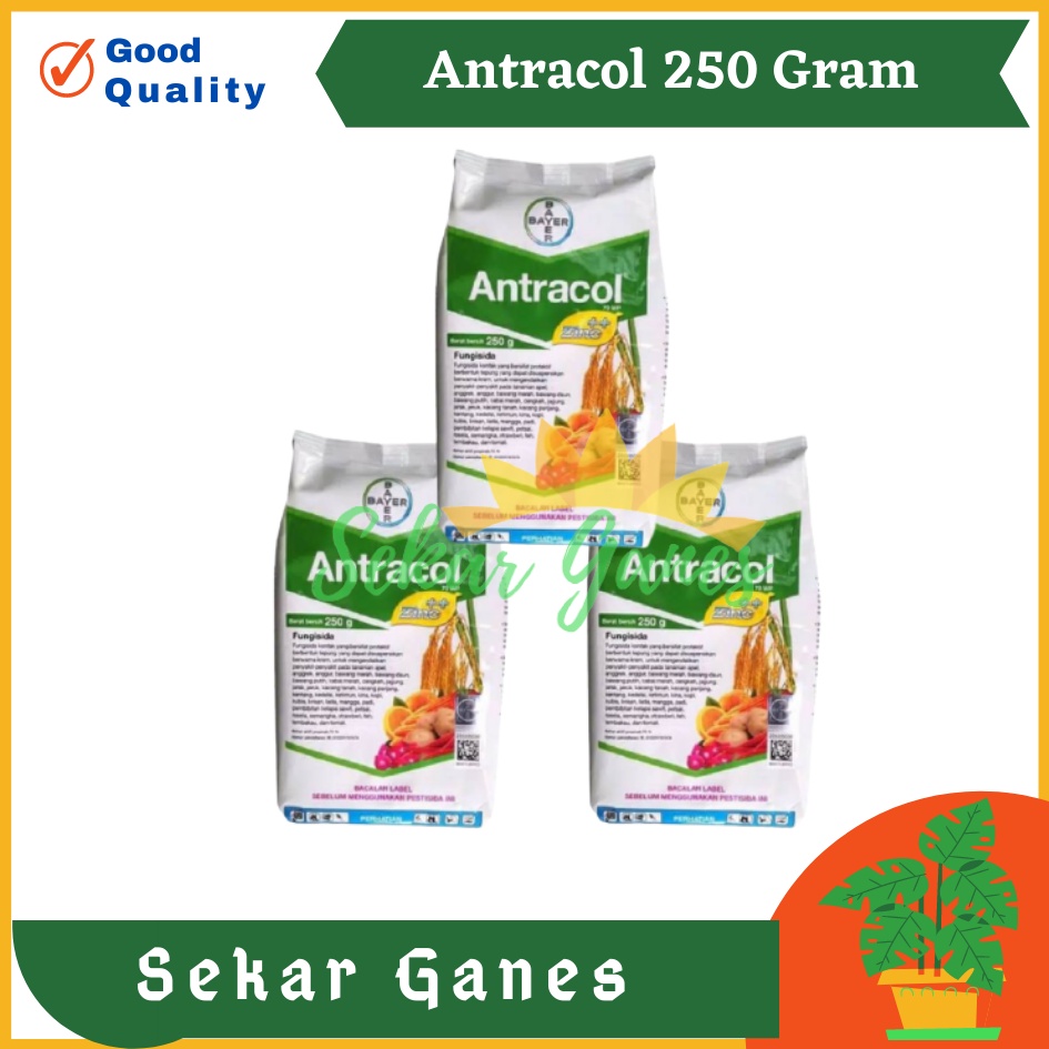 Fungisida Antracol 70 Wp 250 Gram Gr Obat Tanaman Jamur Untuk Anggrek Dan Tanaman Lain | Bukan Pupuk