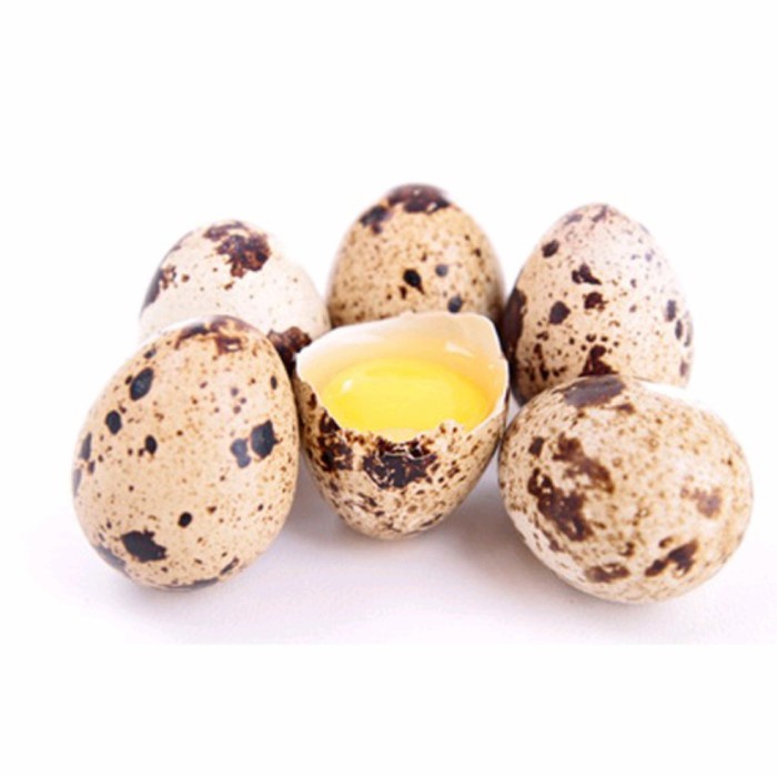 

TELUR PUYUH MENTAH
