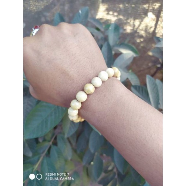GELANG AKAR BAHAR PUTIH ALAMI ISI 20BUTIR
