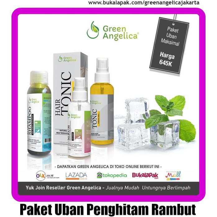 Terbaik HEMAT 70RB PAKET PERAWATAN RAMBUT GREEN ANGEICA (SHAMPO,SERUM,TONIC)