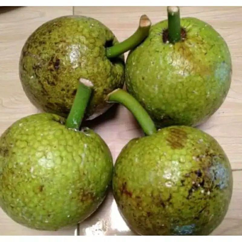 

buah sukun