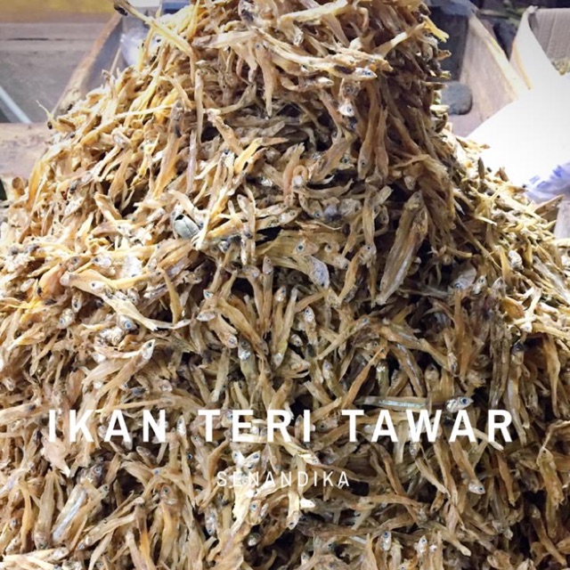 

Teri Tawar Kering per KG