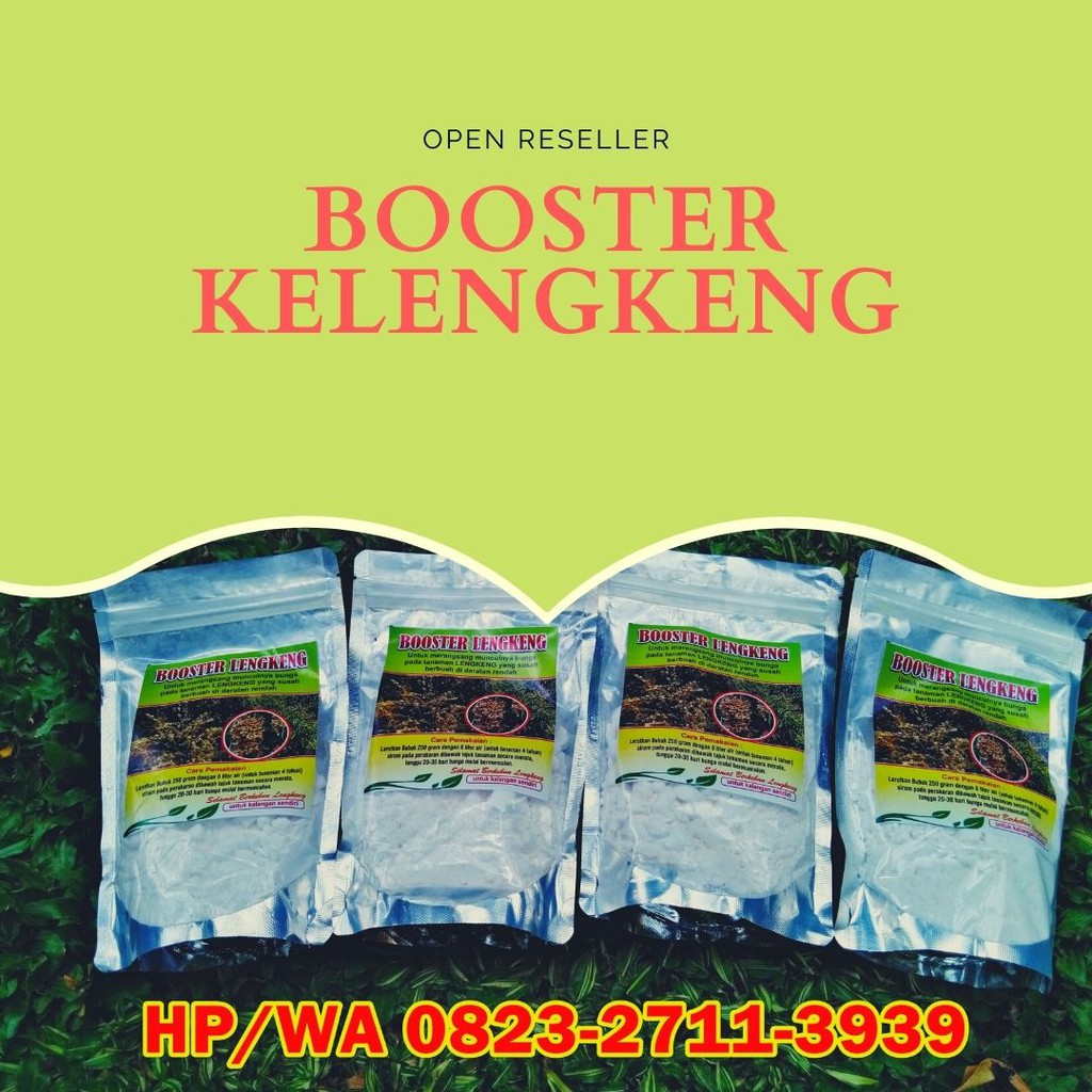 1 pcs Pupuk Pembuahan Kelengkeng, Booster Kelengkeng Kclo3
