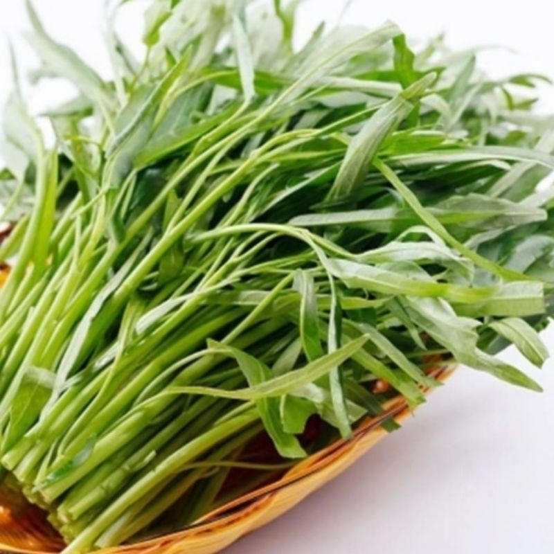 

kangkung akar /ikat
