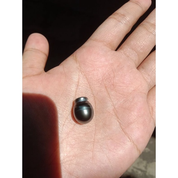 butiran mutiara air laut hitam tahiti oval tetesan air mata