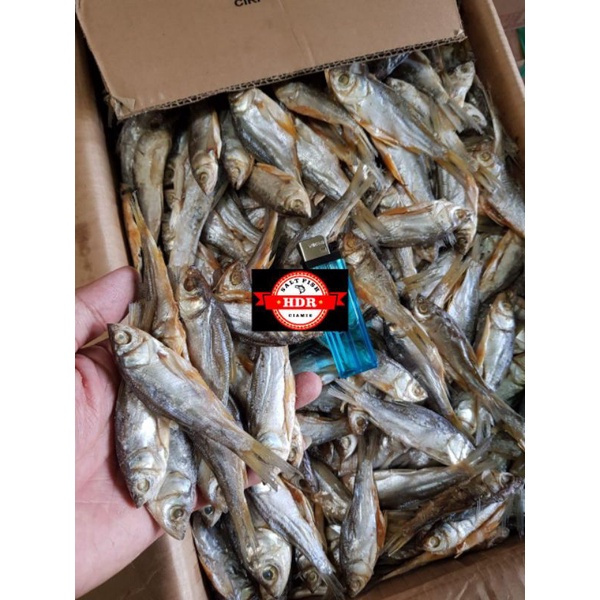 

ikan nilem Banjarmasin ( hobb) 1kg harga termurah