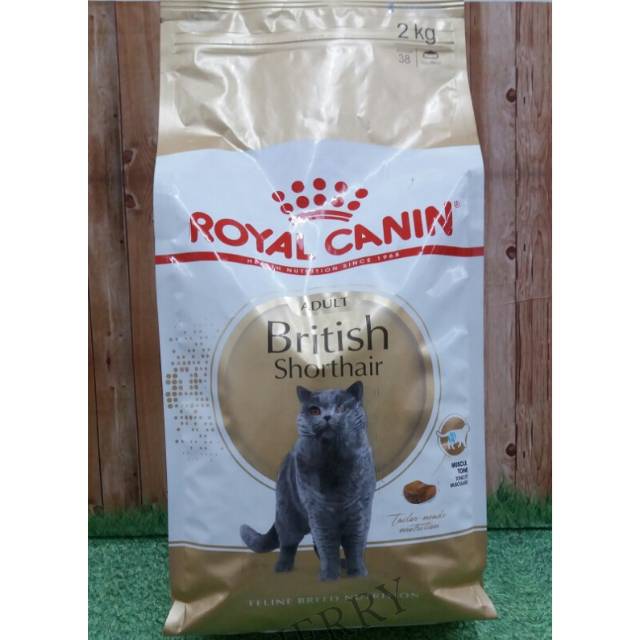 Royal Canin BRITISH SHORTHAIR ADULT 2KG | KEMASAN PABRIK