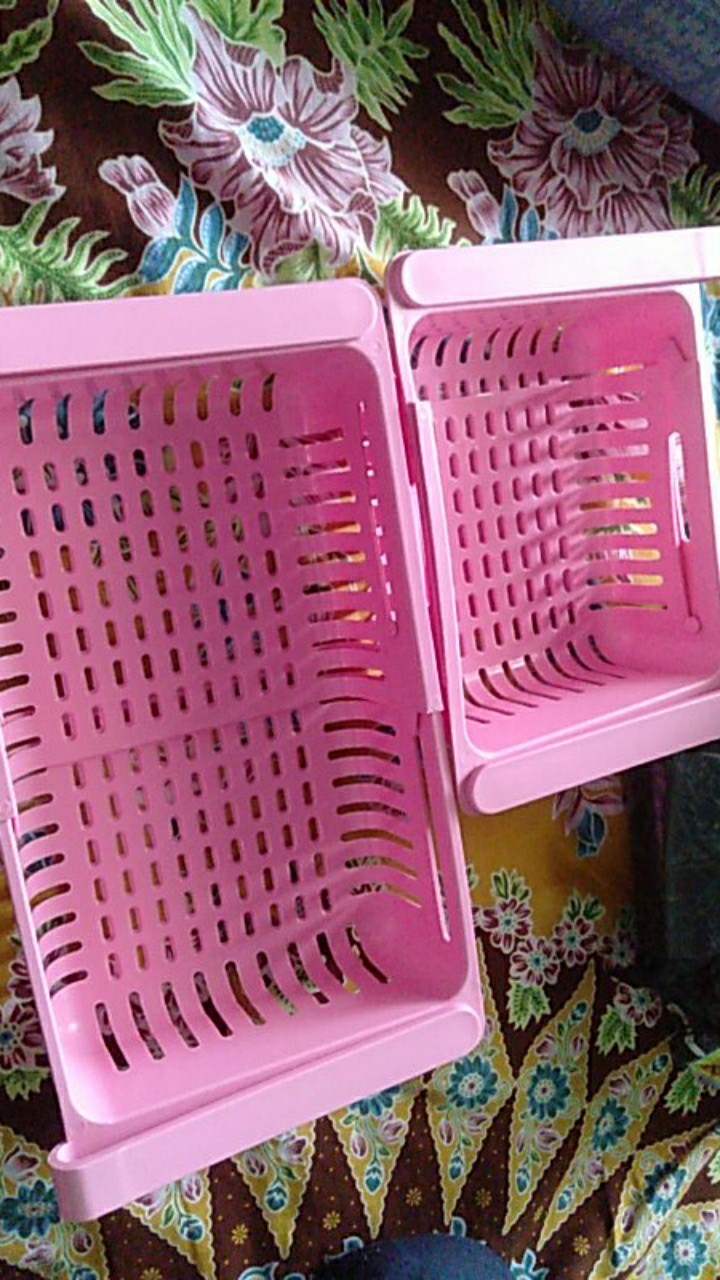 Rak Kulkas Tempat Penyimpanan Makanan