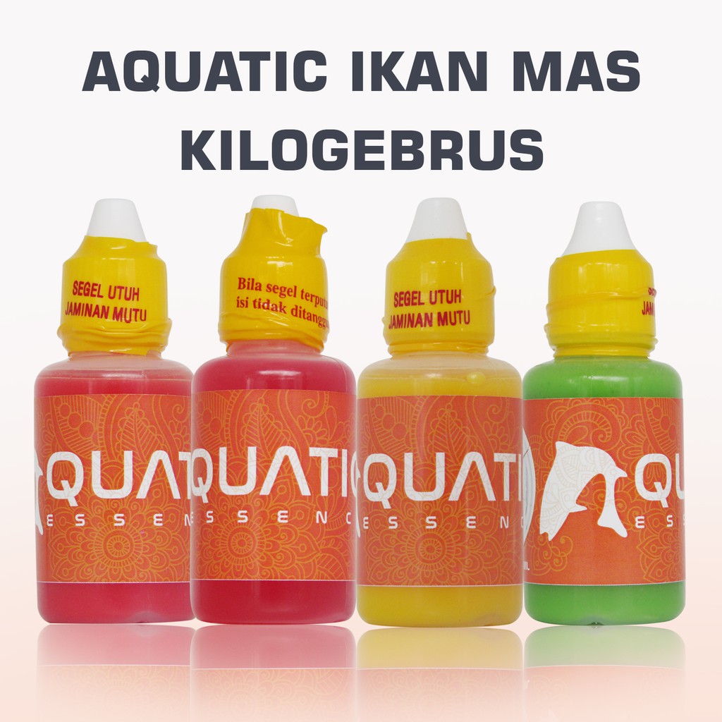 Essen Umpan Mancing Ikan Mas Harian Lomba Induk/Babon #Aquatic Essence