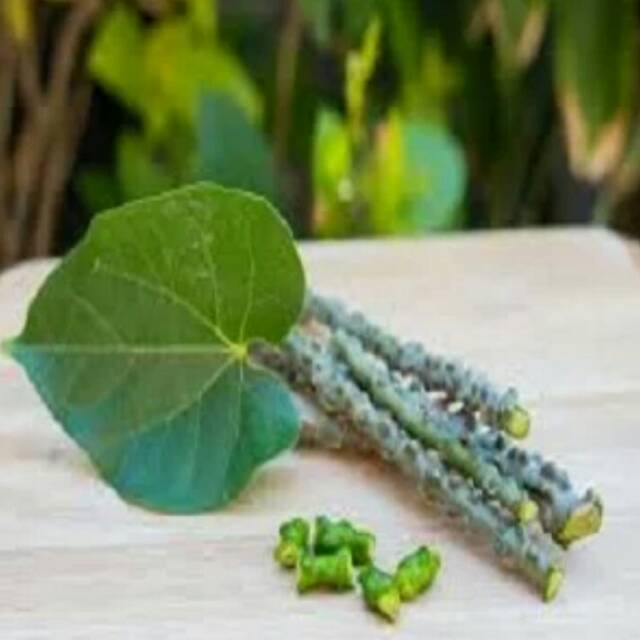 

Brotowali kering 1kg