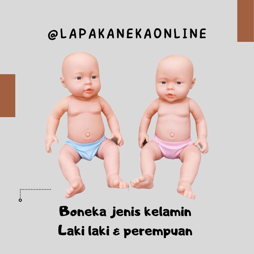 Mainan Anak Sepasang Boneka Gender/ Boneka Kelamin L666-2 Mainan anak anak