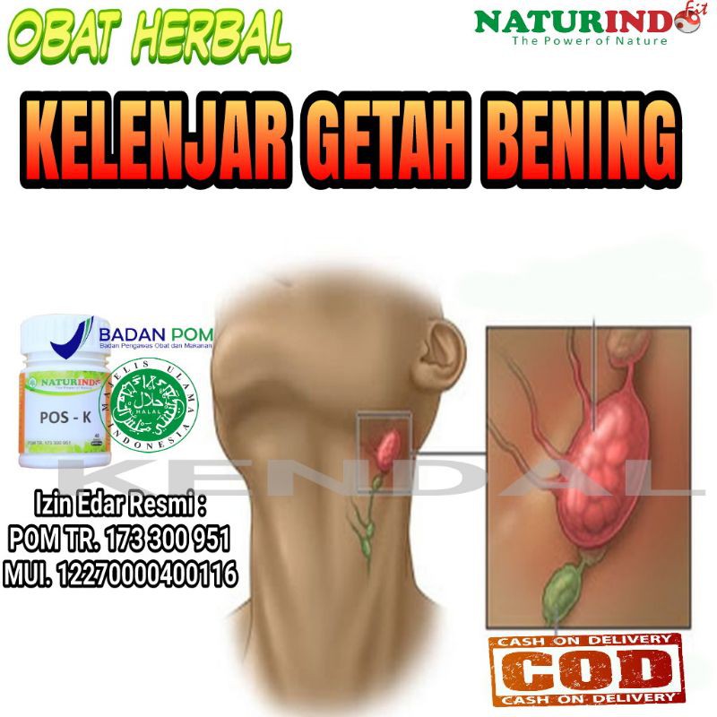 Obat Kelenjar Getah Bening Herbal Ampuh Benjolan Di Leher Kanker Kelenjar Tumor Shopee Indonesia