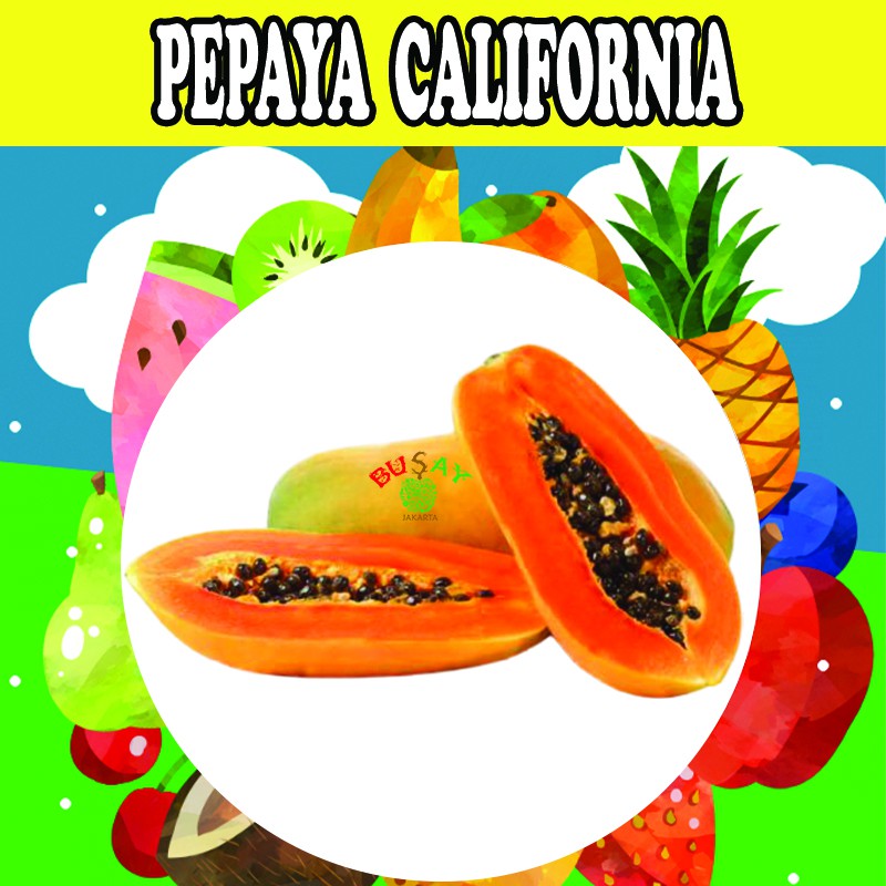 

Pepaya California Buah Segar Buah Pepaya 1kg