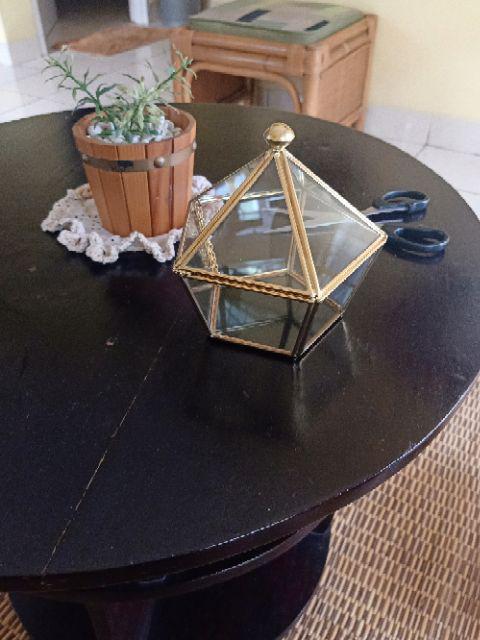 Tempat Cincin Terrarium