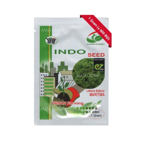 Benih Selada Lettuce Batavia Maritima Enza Zaden Indoseed Isi 1 Gram