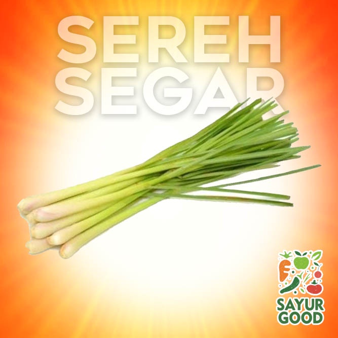 

Sereh Segar / Ikat