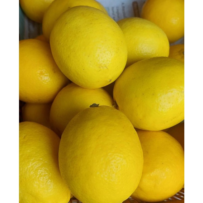 

PROMO Lemon segar/1kg