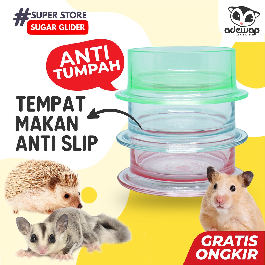 ADEWAP GLIDER Tempat Makan Bulat Warna Bening Sugar Glider