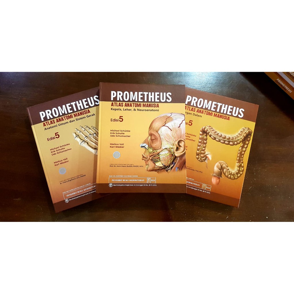 PROMETHEUS Atlas Anatomi Manusia Edisi 5 - Paket 3 buku - ORIGINAL