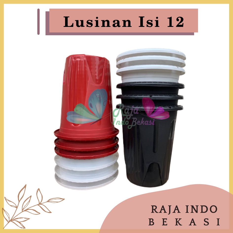 LUSINAN Isi 12 Pcs Pot GE 20 Golden Erna 20 Putih Hitam Transparan Bening Merah Bata pcs Pot Yogap 10 13 15 17 18 19 25 Pot Yogap Bening LUSINAN POT YOGAP MURAH