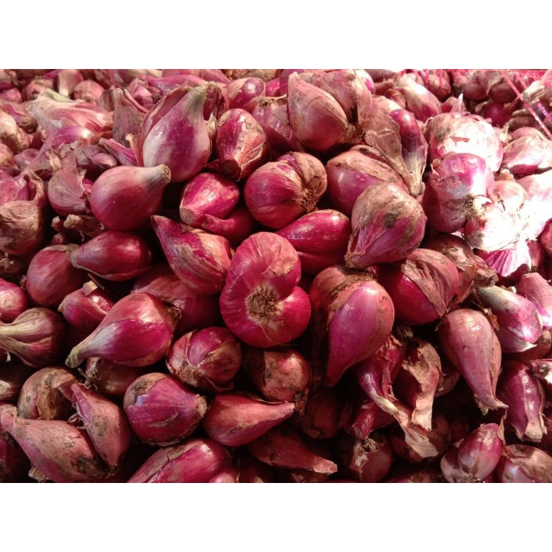 

bawang merah Brebes