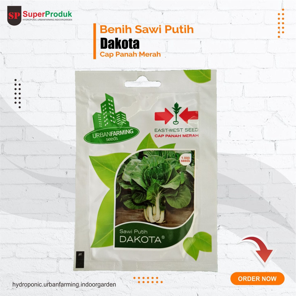 Benih Sawi Putih Dakota Cap Panah Merah