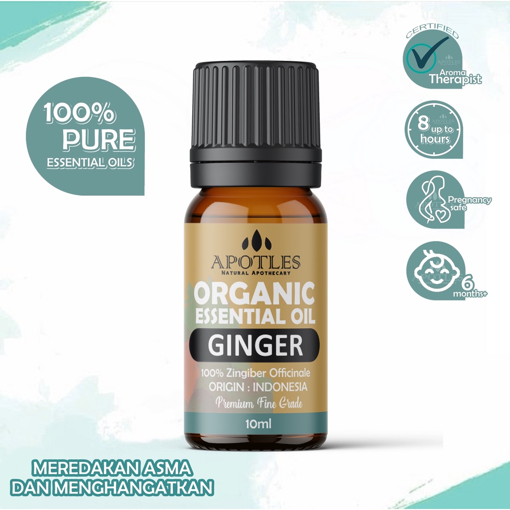 Ginger Essential Oil - Minyak Aromaterapi Jahe Murni Ginger Pure Essential Oil 10ml