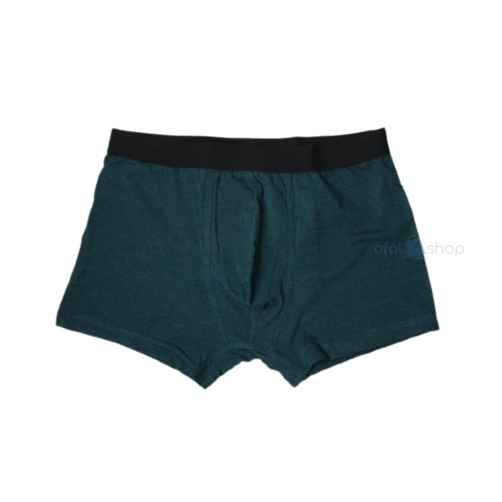 Celana dalam pria boxer