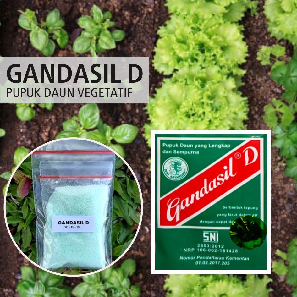 10 gr - GANDASIL D, pupuk Daun untuk awal pertumbuhan (masa vegetatif)