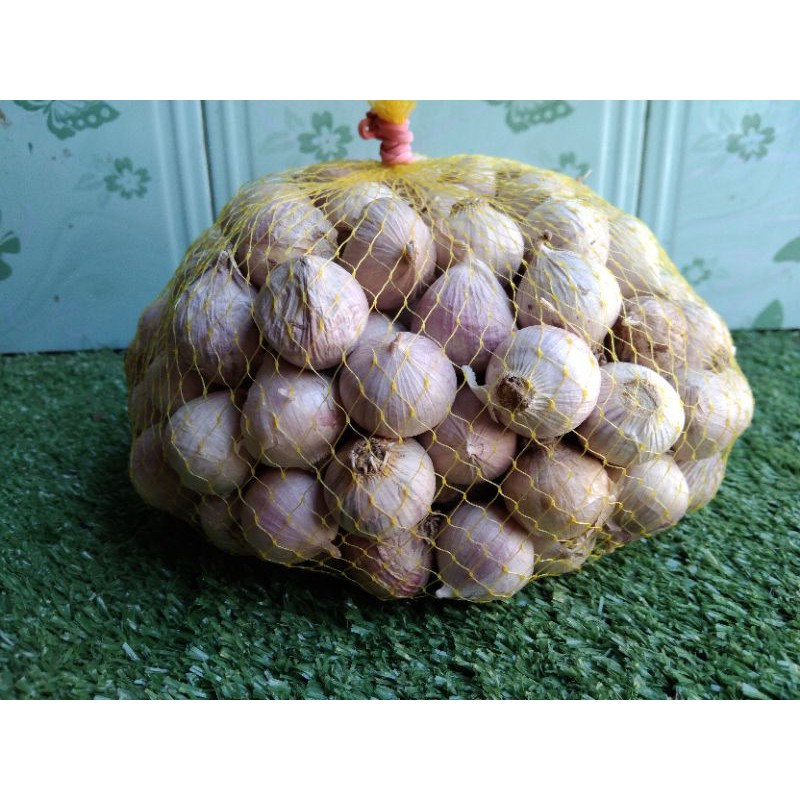 

Bawang Putih Tunggal ukuran Besar ( 1 kg)