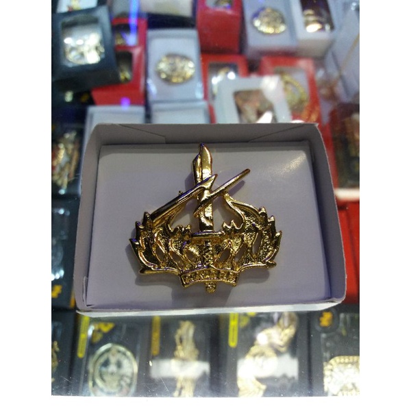 Brevet Wing RAIDER TNI AD