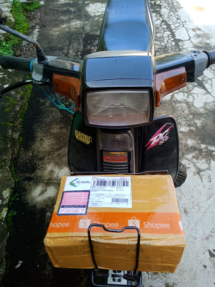 Bonggol Alocasia Watsoniana