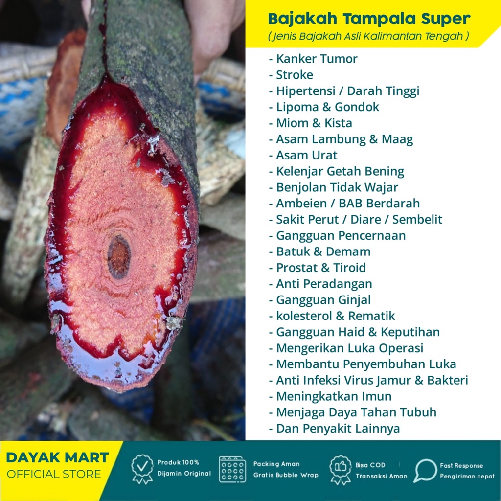 Akar Kuning Bajakah Kuning Asli Kalimantan Kualitas Super Premium Akar Bajakah Kayu Bajak Kayu Bajakah Akar Bajaka Obat Herbal Bajakah kalimantan Asli Diabetes Asam Lambung Urat Obat Maag Kencing Manis Gula Darah Liver Hepatitis Paling Ampuh Original 100%-BAJAKA TAMPALA MERAH