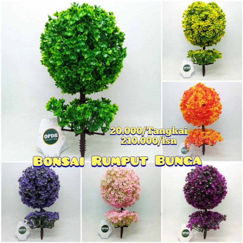 Bonsai Rumput Bunga  Bonsai Bunga Tanpa Vas Bonsai Bunga Siap Pakai
