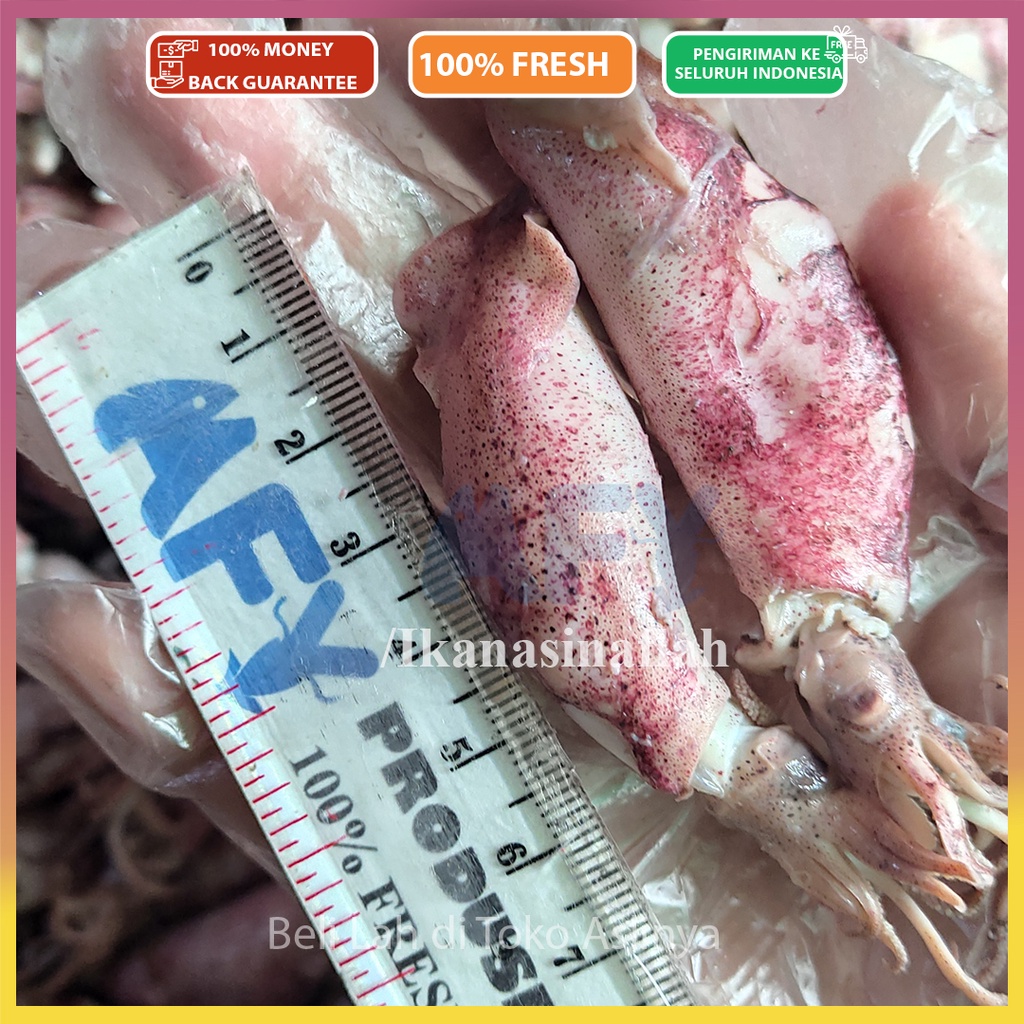 

PROMO Cumi Asin Sedang 4-7Cm 1kg & 500gr / Ikan Asin Jakarta / Sontong Rebus Mentah Siap Masak