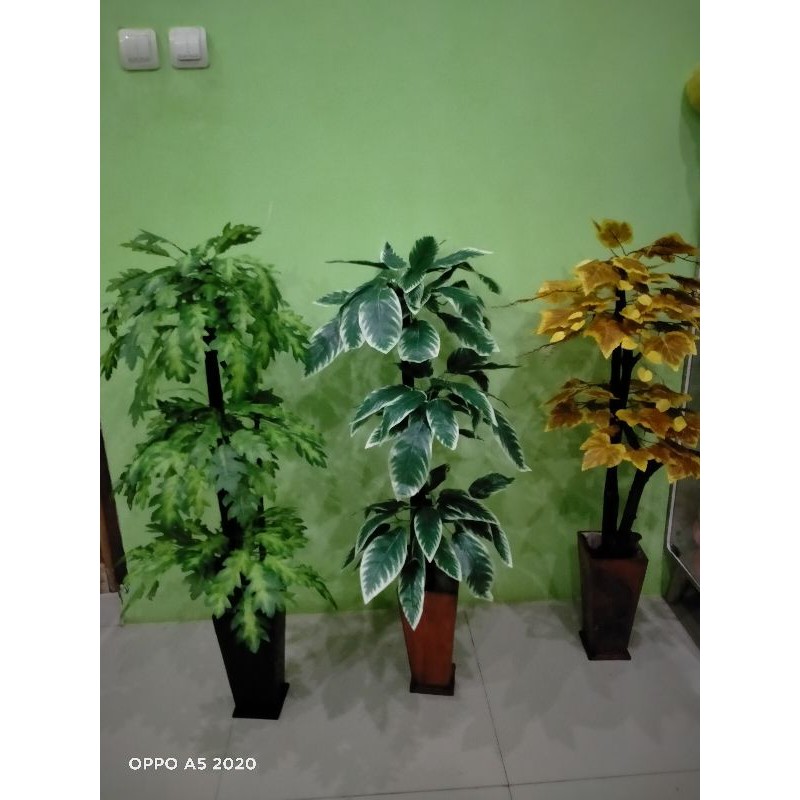 bunga hias/sudut ruangan/bonsai