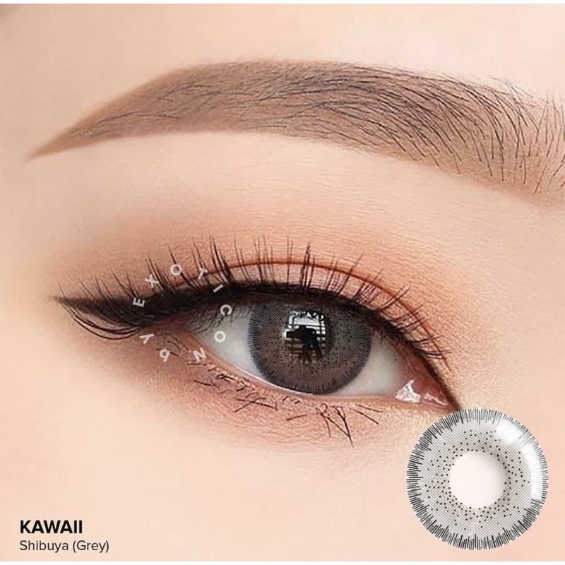 Softlens kawaii shibuya (grey)