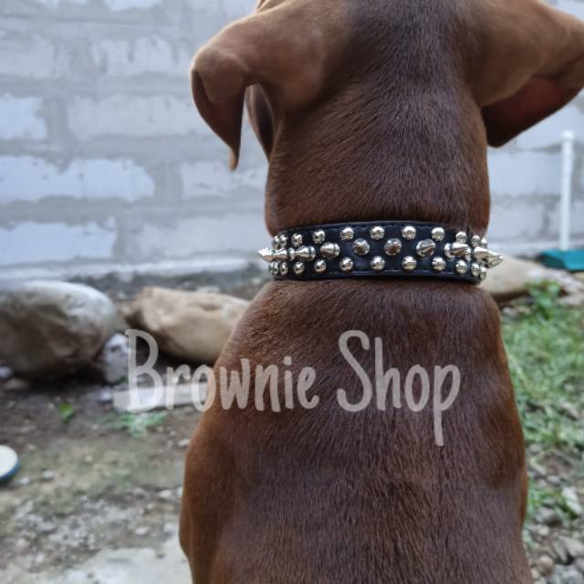 Kalung anjing bahan kulit halus model duri fashion dan bisa buat latihan, bisa ditarik rantai tuntun