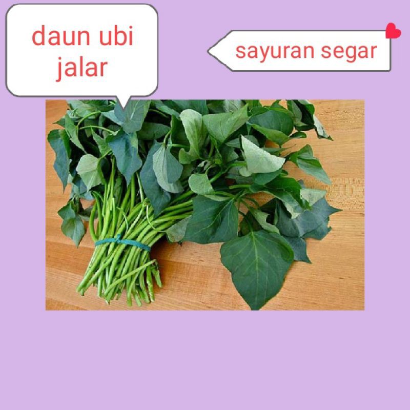 

DAUN UBI JALAR