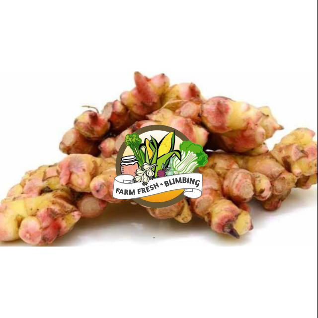 

Jahe Merah Fresh 500 gram