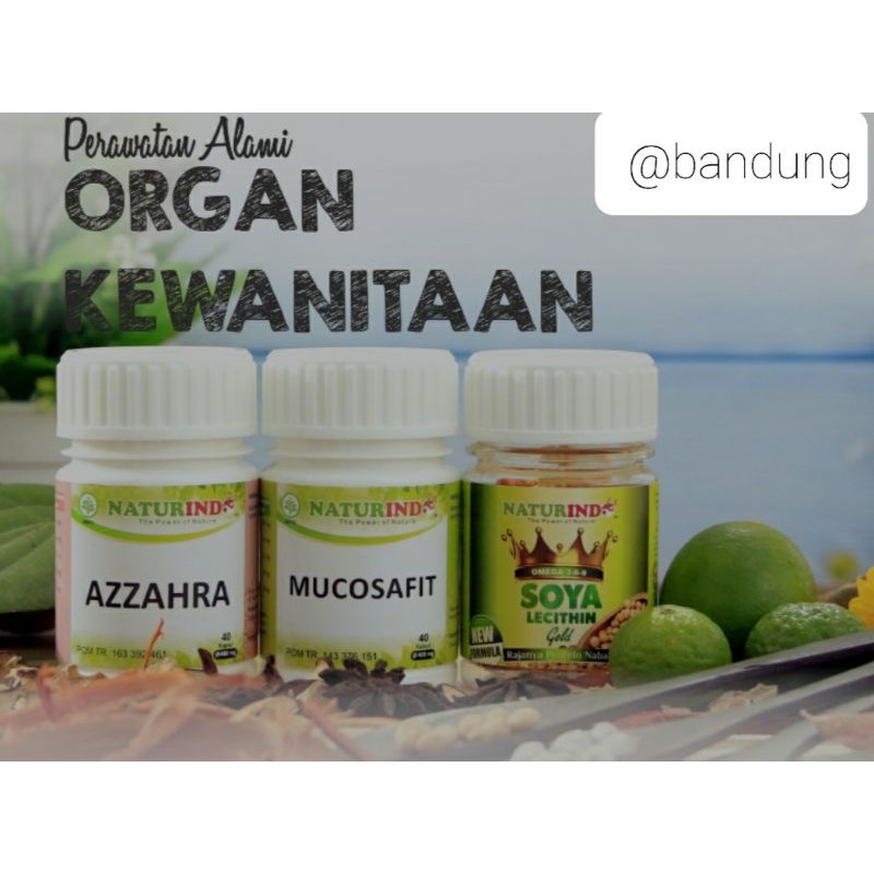 Paket Herbal Memperbaiki Masalah Kewanitaan Naturindo