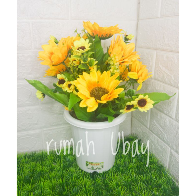 BUNGA MATAHARI / Bunga Matahari